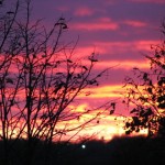 sunset